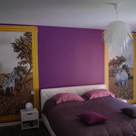 La Maison De L Artiste - D'hotes A - Avec Jacuzzi